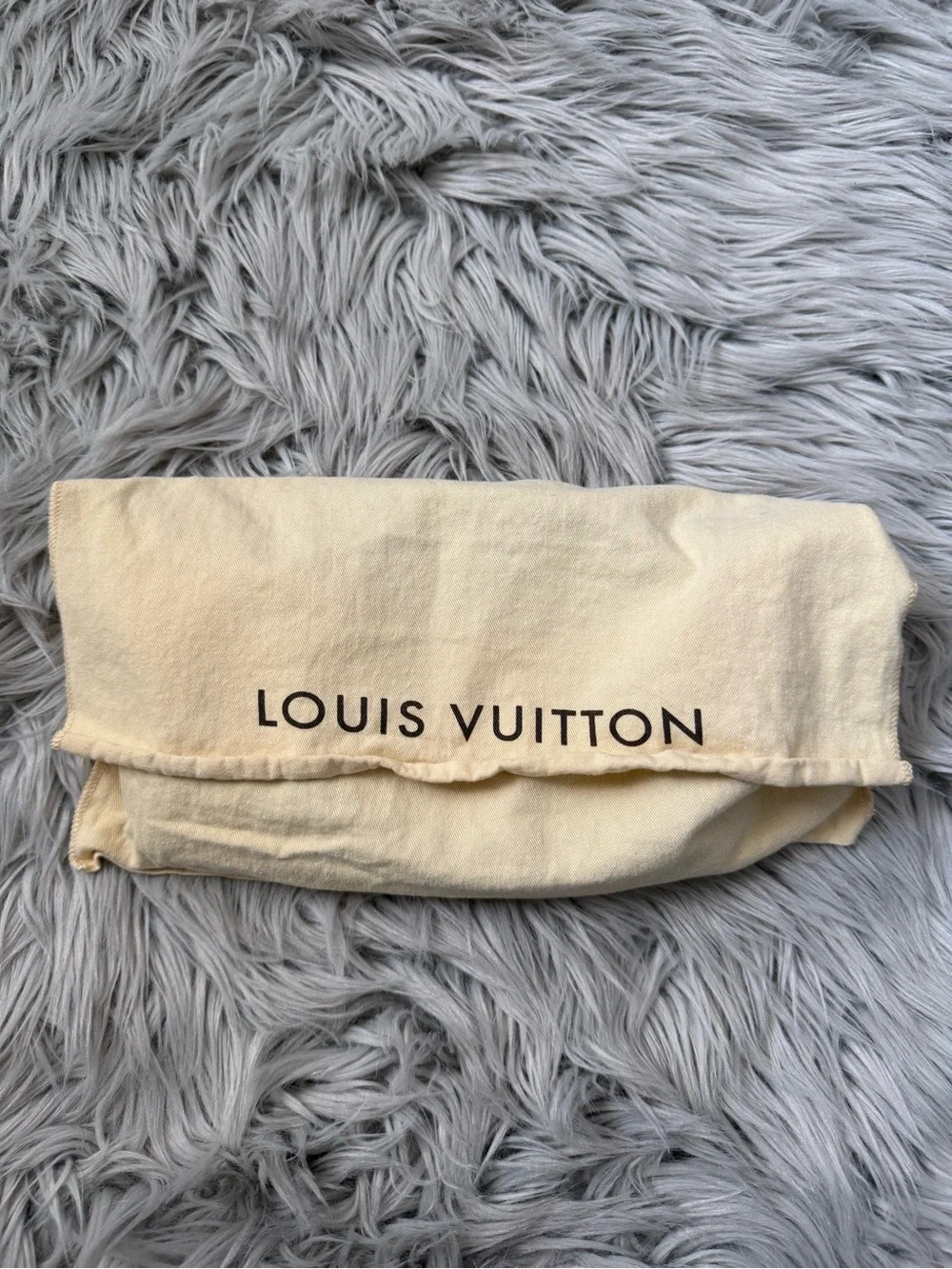 LOUIS VUITTON Favorite PM Damier Ebene Crossbody Bag